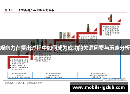 观察力在复出过程中如何成为成功的关键因素与策略分析