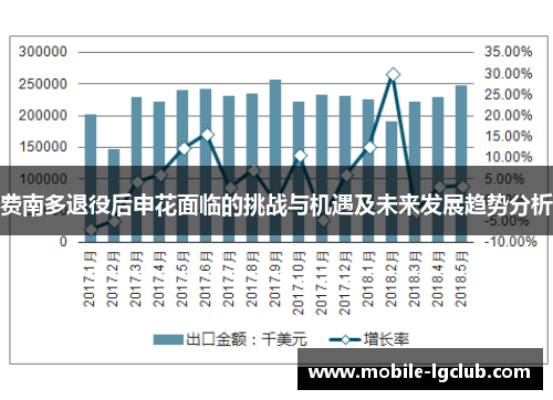 费南多退役后申花面临的挑战与机遇及未来发展趋势分析